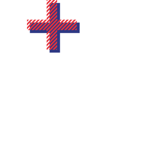 Logo Médecins Solidarité Lille